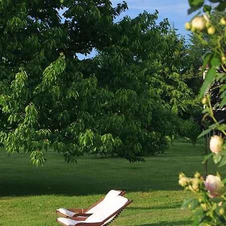 La Maison D'anais Vic-en-Bigorre