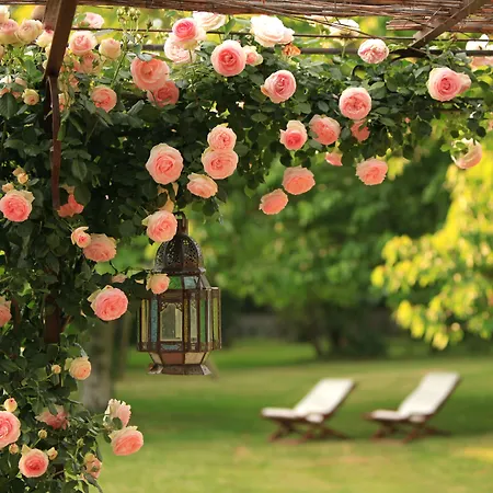 La Maison D'anais Vic-en-Bigorre